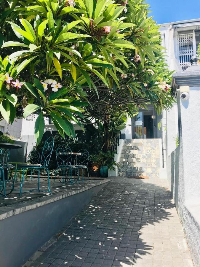 Moy Guesthouse & Backpackers Κέιπ Τάουν Εξωτερικό φωτογραφία